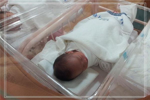 梦见鸽子孵出蛋飞出