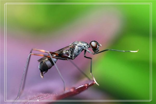 梦见老公阴部被插入一根木棍