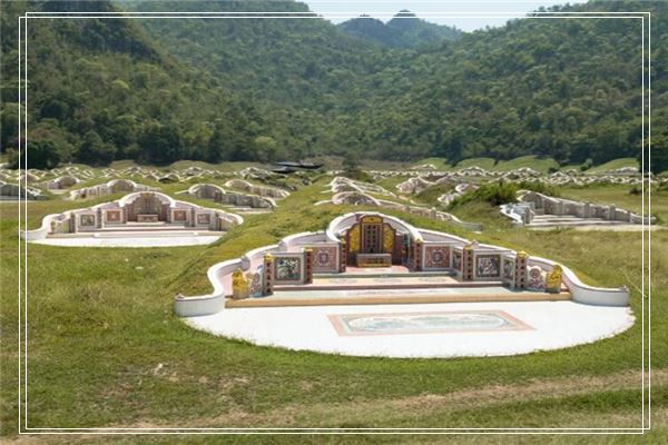 梦见别人弄死猫却成儿子死