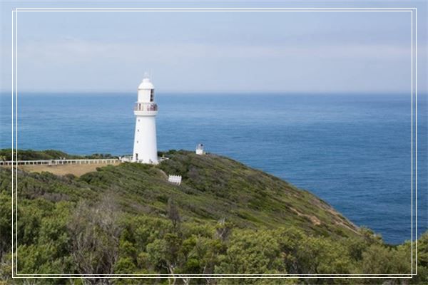 梦见在海水里抓鱼